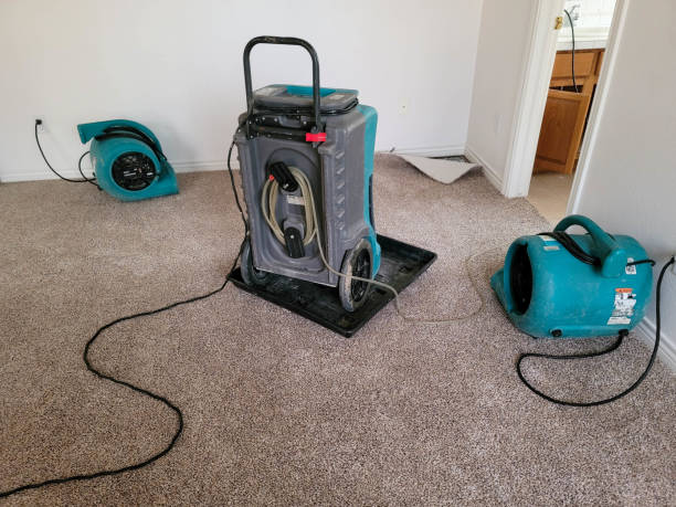 24/7 water damage repair in AR
