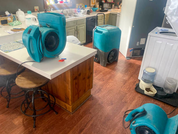 Best Fire Damage Restoration  in Bay, AR