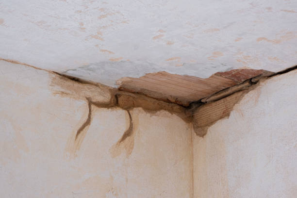 Best Local water damage restoration  in Bay, AR