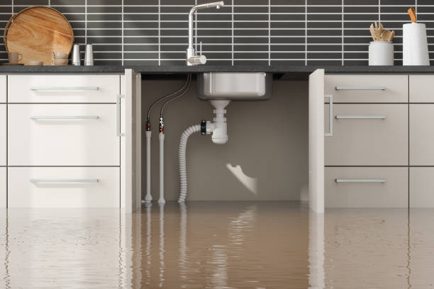 Best Water damage restoration near me  in Bay, AR