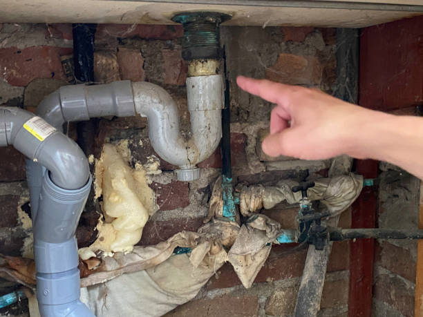 Best Water damage restoration specialists  in Bay, AR