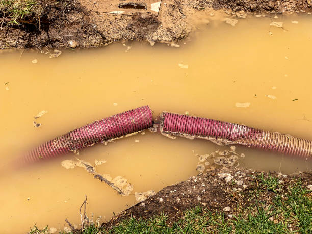 , AR Water damage restoration Company