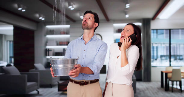 Best Mold removal after water damage  in Bay, AR